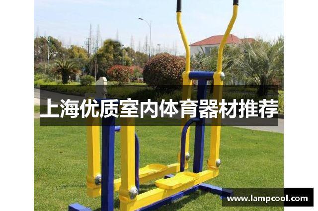 上海优质室内体育器材推荐